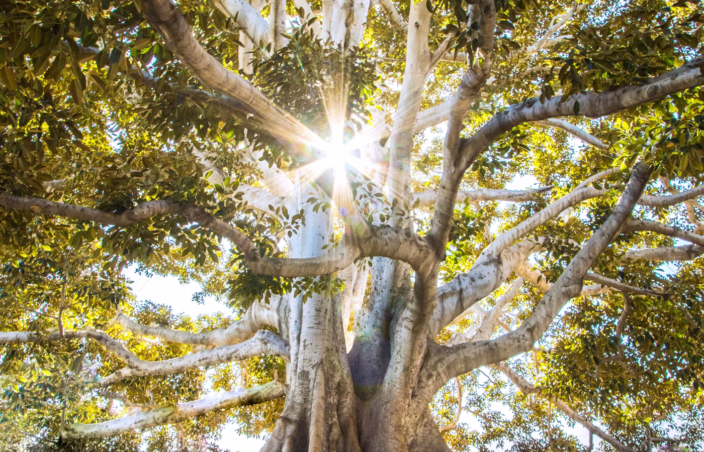 Дыхательные практики для пары